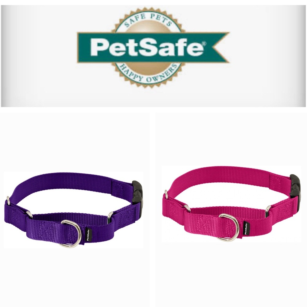 Lot of (2) PetSafe Martingale Dog Collars